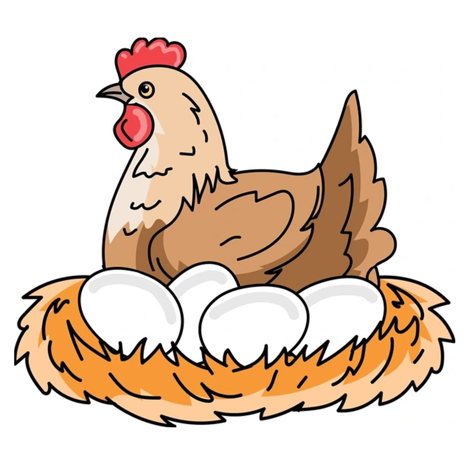 Egg Incubator
