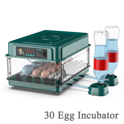 30 Eggs Auto incubator Green China - AC/DC Dual Power 30 egg incubator for Poultry, Chicken, Bird, Emu, Turkey, GOOSE, DUCK