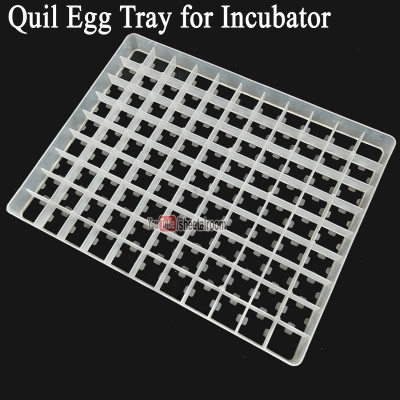 99 Quail Egg Setter Trays for Birds and Quail Egg Incubator - Quail Egg Setter Tray for Incubator