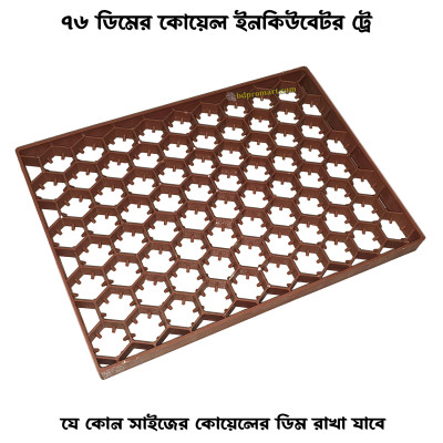 Birds & Quail 76 Eggs Setter Trays for Birds and Quail Eggs Incubator Haneycomb Model Setting Tray - Incubator 76 Egg Quail Setter Tray কোয়েল ইনকিউবেটর ৭৬ ডিমের সেটার ট্রে