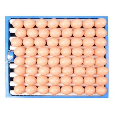 Automatic 54 Egg Turning Tray - Roller Type 54 Egg Turner Tray with Motor for incubator অটো টার্নিং ইনকিউবেটরের ৫৪ ডিমের ট্রে, ২২ ইঞ্চি ককশিট বক্সের ৫৪ডিমের অটো ইনকিউবেটর ট্রে